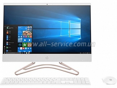  HP All-in-One 21.5