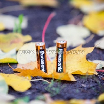 Panasonic LR06 Alkaline Power * 2 (LR6REB/2BP)