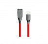  PowerPlant USB - Lightning 2   (CA911417)