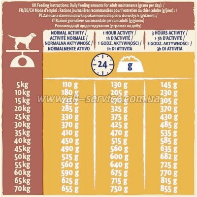     Purina Dog Chow Active Adult    14 (7613034487933)