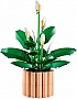 ����������� LEGO Botanicals ���������� (11504)