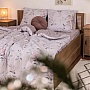   Viluta 22221   (22221_dv)