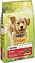    Purina Friskies Active   10 (7613031395484)