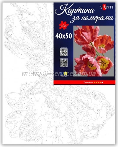 ������� �� ������� Santi ����� �������� 40�50�� (955788)