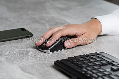 ���� 2E MF212 WL Gray (2E-MF212WC)