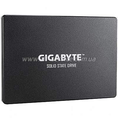  SSD 2.5" 256GB GIGABYTE (GP-GSTFS31256GTND)