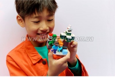 ����������� LEGO Minecraft ������� ���� � ���� (21583)