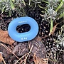  PowerPlay PP-4336 Hand Grip Light 15   (PP_4336_Blue_15kg)