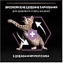     Purina Pro Plan Original Kitten   10 (7613036505307)