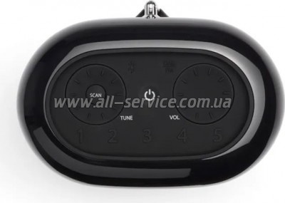   JBL Tuner XL FM Black (JBLTUNERXLBLKEUNA)