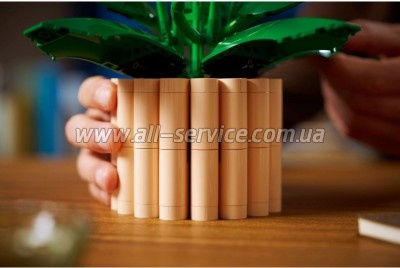 ����������� LEGO Botanicals ���������� (11504)