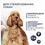     Club 4 Paws           5 (4820215367868)