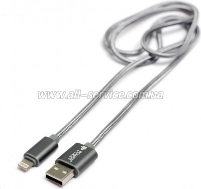 ���� ������ USB 2.0 AM to Lightning 1.0m PowerPlant (KD00AS1288)