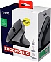  Trust Bayo 2 Ergonomic Wireless/USB-A Black (25145)
