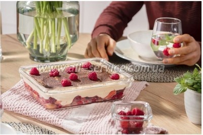 ������� ��������� Tefal Masterseal Glass Red 2� (N1041110)