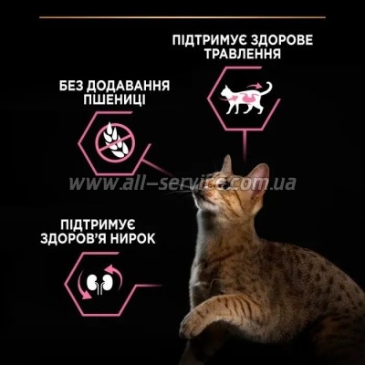     Purina Pro Plan Delicate Turkey    10 (7613033566509)