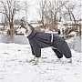  Pet Fashion 