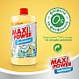      Maxi Power   1000  (4823098411987)