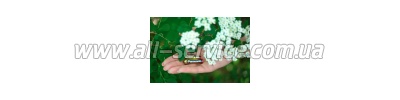  Panasonic Pro Power AAA BL2 (LR03XEG/2BP)