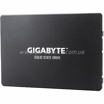  SSD 2.5" 256GB GIGABYTE (GP-GSTFS31256GTND)