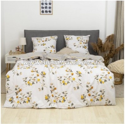 ���������� ����� Viluta 24317 ������� ���������� (24317_pl)