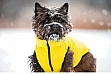  Collar AiryVest 