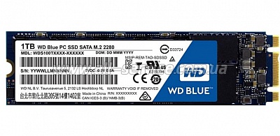 SSD  Western Digital M.2 2280 1TB TLC/BLUE (WDS100T1B0B)