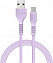 ���� ������ USB 2.0 AM to USB-C 1.2m Purple ACCLAB (1283126518270)