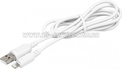 ���� ������ USB 2.0 AM to Lightning 1.0m PowerPlant (CA911196)