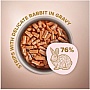     Club 4 Paws Selection       85  (4820215368087)