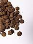     Savory Large Breeds rich in Fresh Turkey and Lamb 12 (4820232630242)