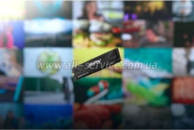  SSD M.2 2280 2TB FURY Renegade G5 Kingston (SFYR2S/2T0)