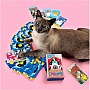 Карти Таро Orner Таро Котяче таро (2327) Карти Таро Orner Таро Котяче таро (2327)