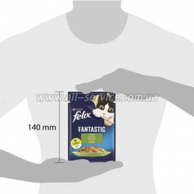     Purina Felix Fantastic     85  (7613039835500)