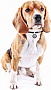    WAUDOG Smart ID  42-76   (60391)