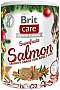    Brit Care Cat Superfruits 100    (8595602558568)