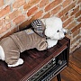  Pet Fashion Soft S  (4823082427895)