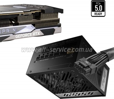   MSI 1000W (MPG A1000G PCIE5)