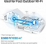  TP-Link DECO-X50-Outdoor-1-PACK