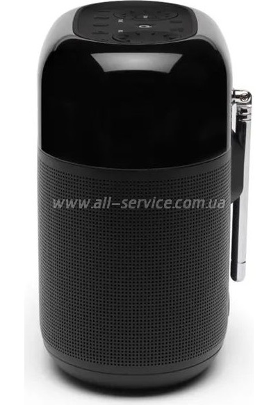   JBL Tuner XL FM Black (JBLTUNERXLBLKEUNA)