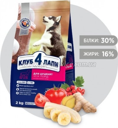     Club 4 Paws        2  (4820083909450)