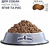     Club 4 Paws     -    2 (4820083909603)