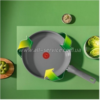 ��������� Tefal Renewal 24�� (C4260443)