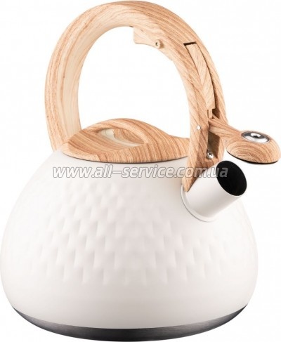  Ardesto Gemini 2.5  (AR1956KS)