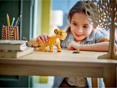  LEGO Disney Classic   (43243)