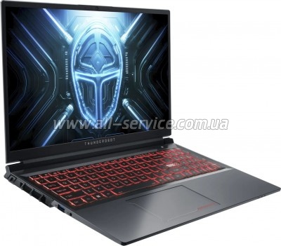  Thunderobot R16 (R16-i9139HX57C1Q300RG)