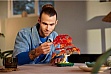 ����������� LEGO Botanicals ������ �� ��������� �������� ����� (10348)