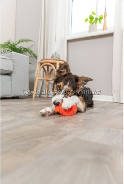    Trixie     11   (4047974360217)