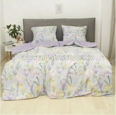   Viluta 24287   (24287_dv)