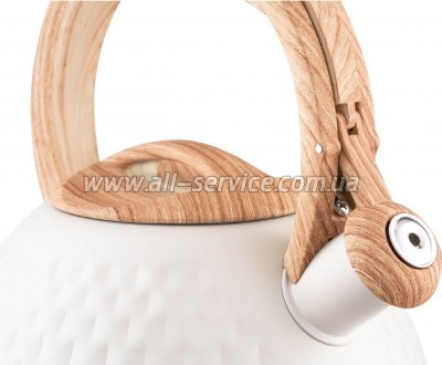  Ardesto Gemini 2.5  (AR1956KS)